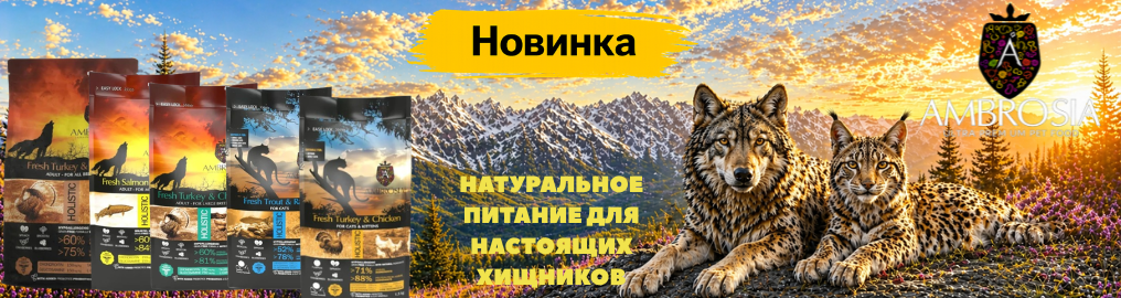 vovk-i-rys